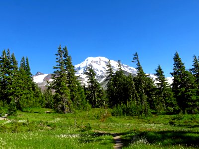 Spray Park Trail at Mt. Rainier NP in WA