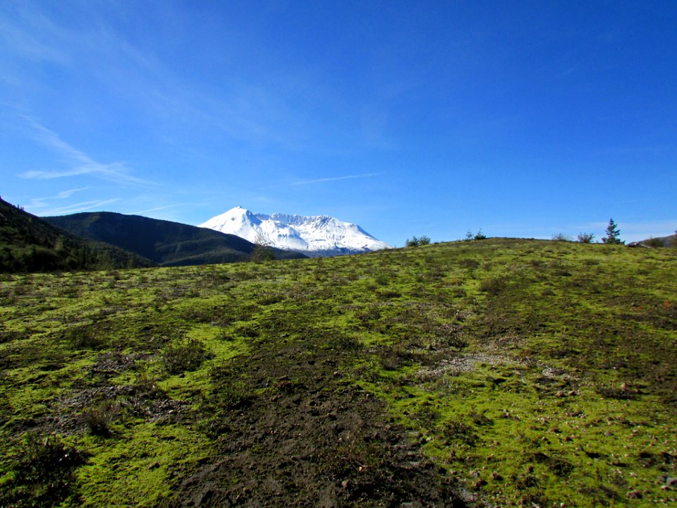 Mt. St. Helens NM in WA