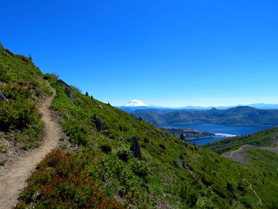 Mt. St. Helens NM in WA