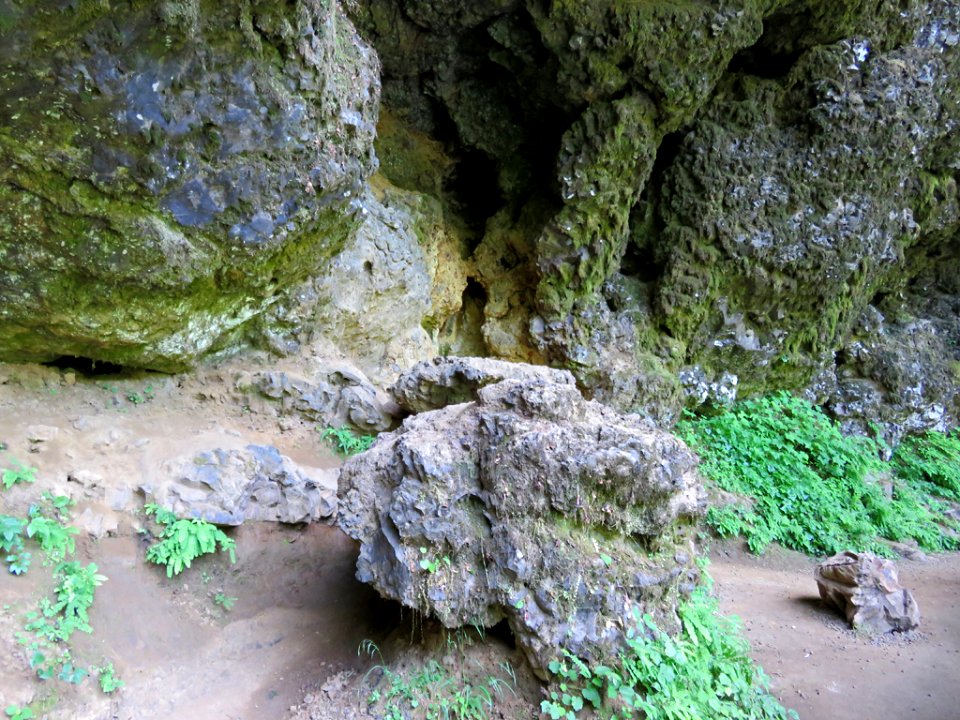 Silver Falls SP in OR