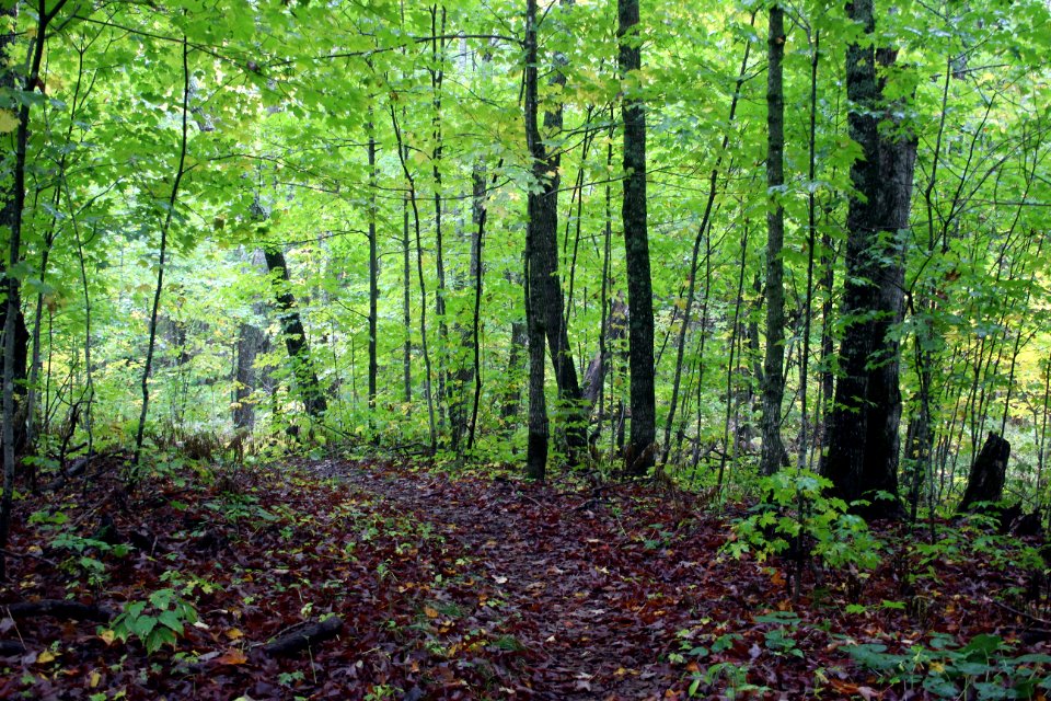 Fall Hiking