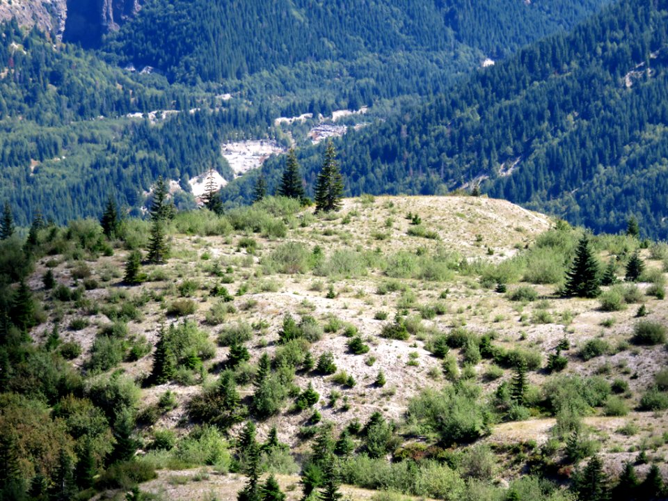 Truman / Loowit Trail at Mt. St. Helens NM in WA