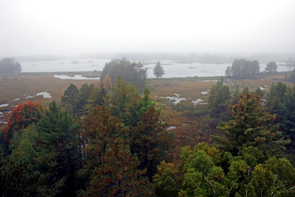 Misty day at Seney National Wildlife Refuge