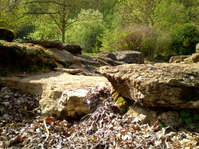 Garden of Silence, Taizé