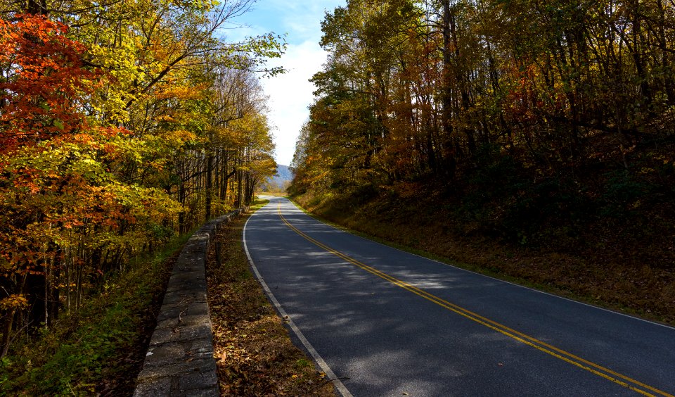 Fall Colors