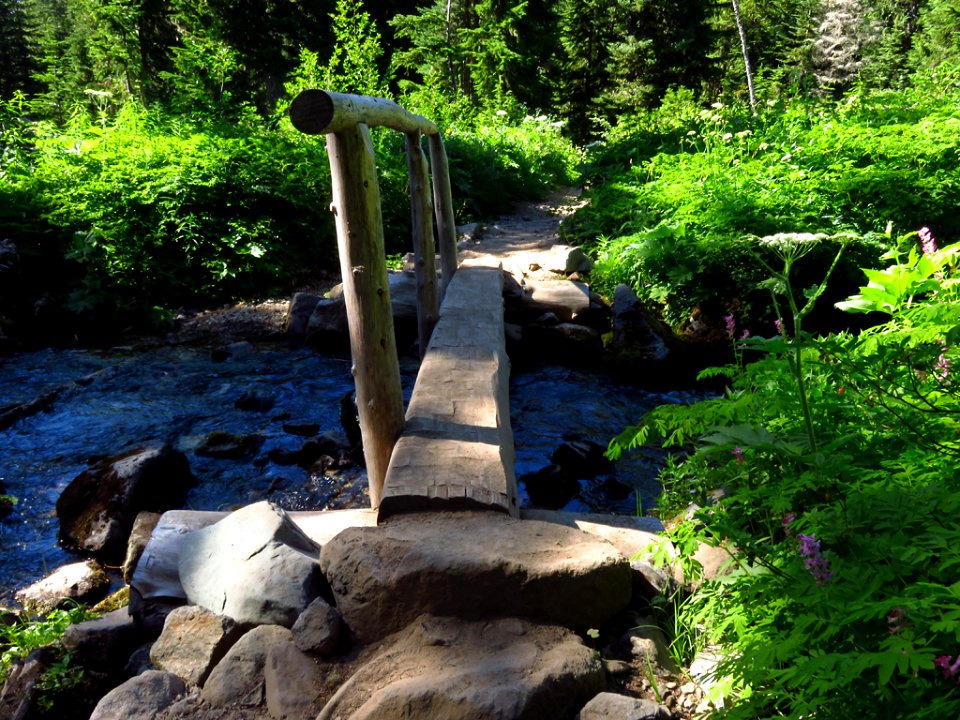 Spray Park Trail at Mt. Rainier NP in WA