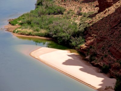 Colorado River at Marble Canyon in AZ photo