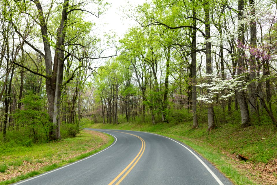 Early spring in the north district