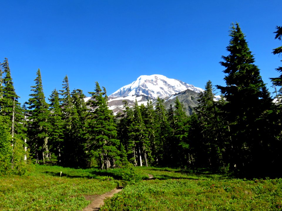 Spray Park Trail at Mt. Rainier NP in WA