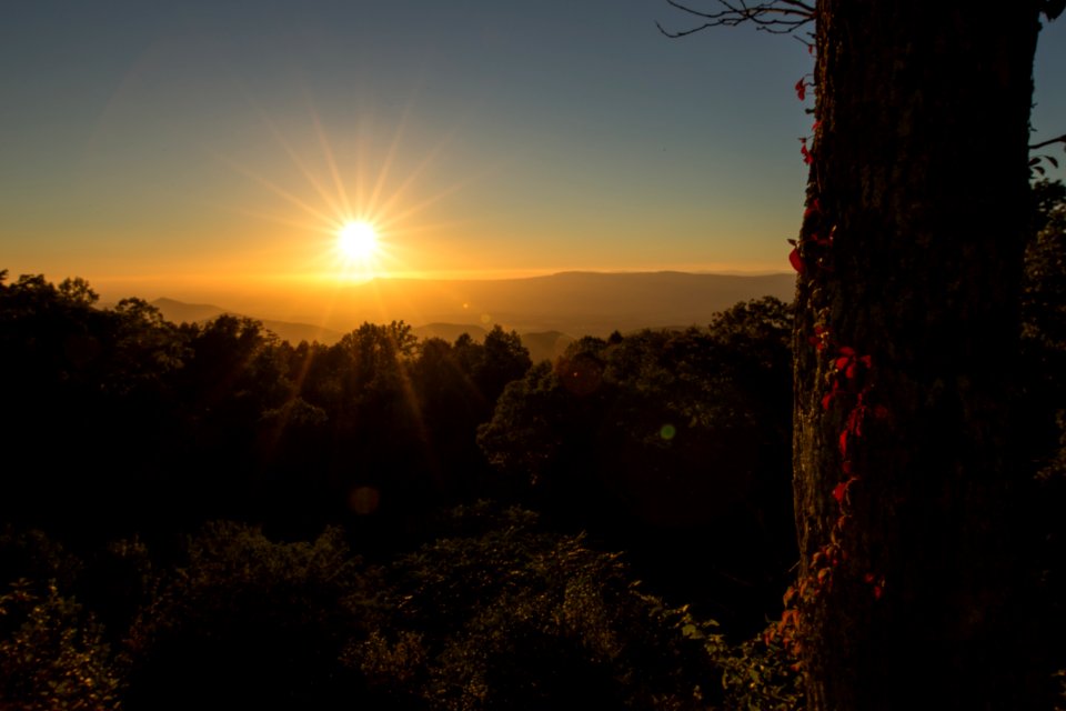 Sunset and Virginia Creeper