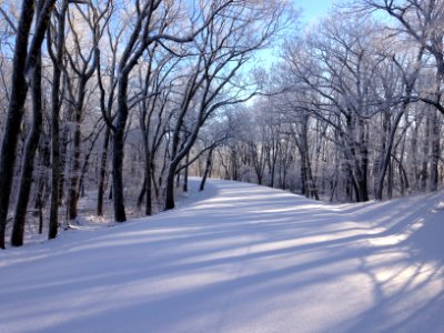 Pristine Snowy Skyline Drive photo