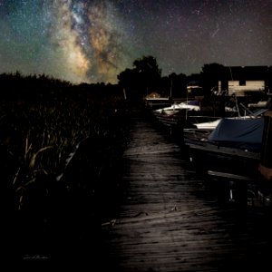 Reeds And Boardwalk