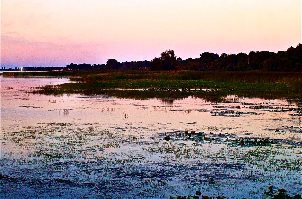 Lake Erie Morning 4 photo