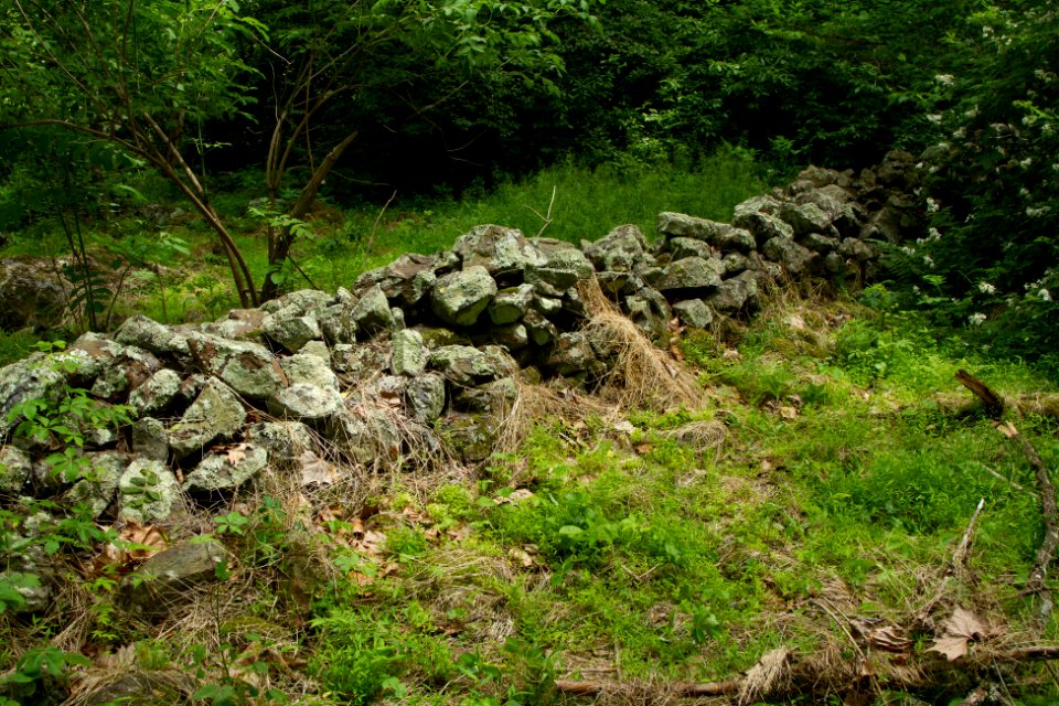 Rockwall