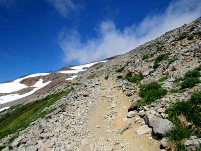 Paradise Skyline Trail at Mt. Rainier NP in WA photo