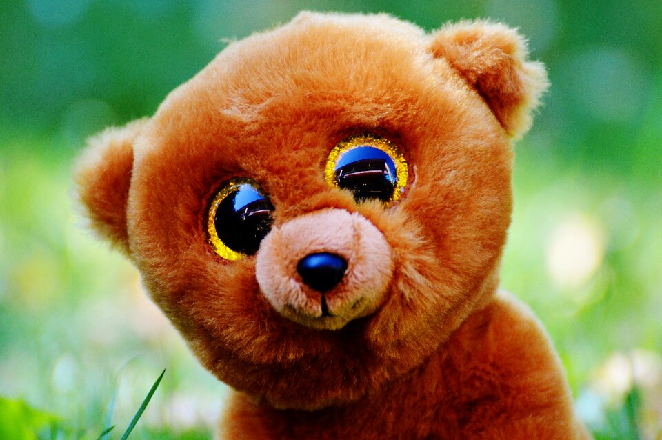 Soft toy teddy cute