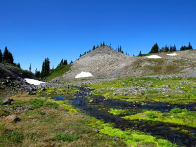 Paradise Skyline Trail at Mt. Rainier NP in WA photo