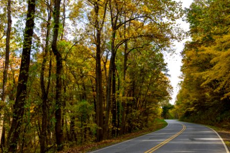 Fall Colors
