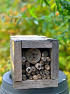 Backyard bee hotel
