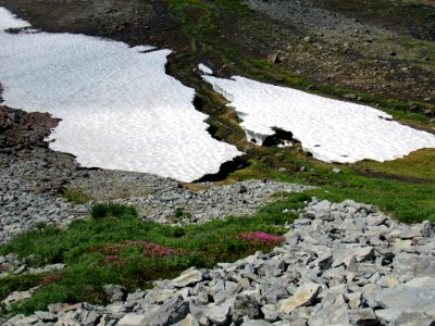 Paradise Skyline Trail at Mt. Rainier NP in WA