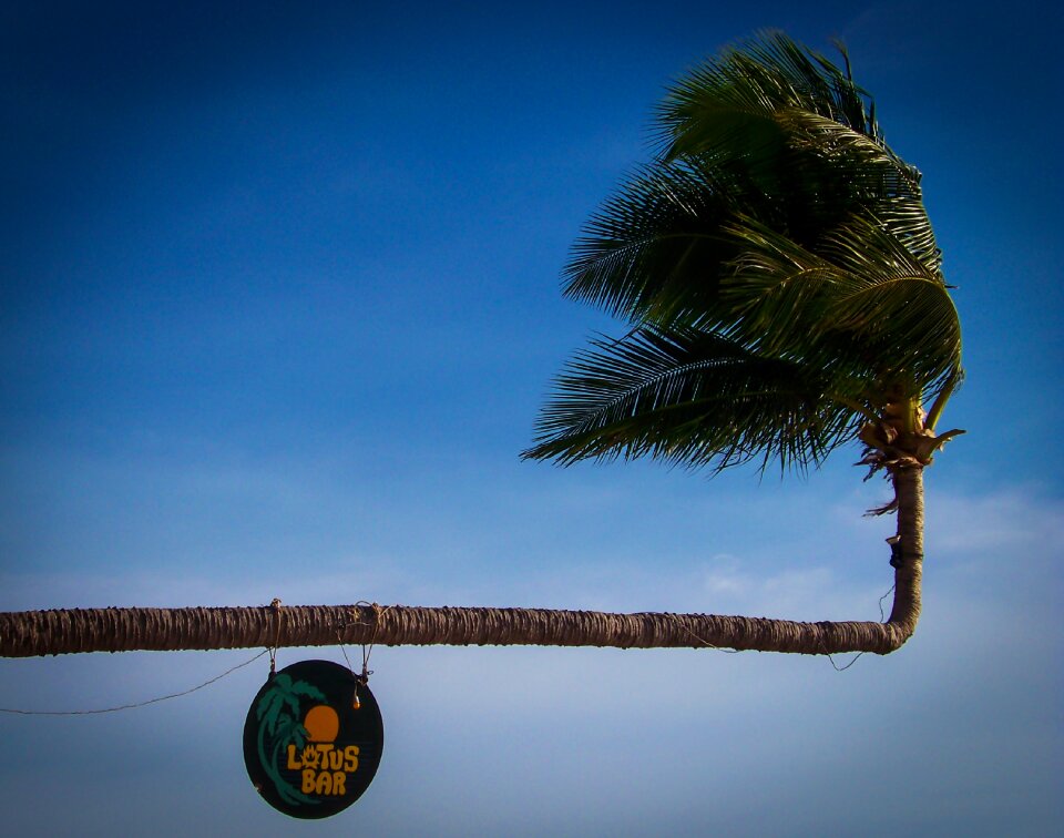 Beach beaches tropical photo