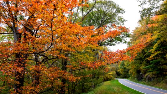 Splendor on Skyline Drive