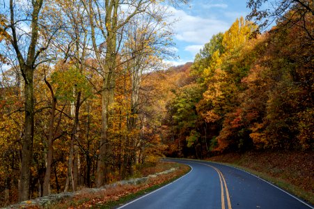 Skyline Drive Alive with Fall Colors photo