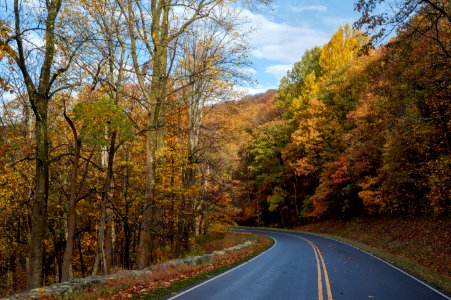 Skyline Drive Alive with Fall Colors