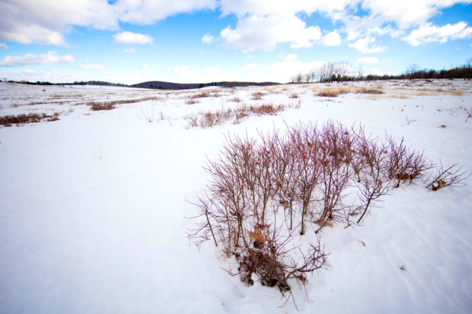 Big Meadows is Covered