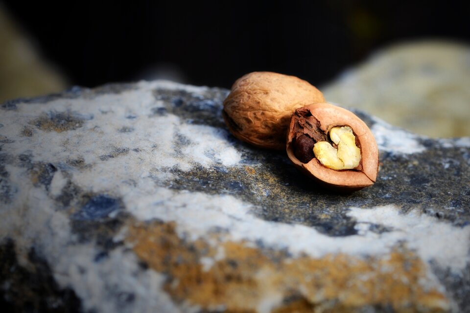 Heart heart nut nut heart