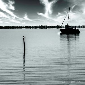 Calm Waters
