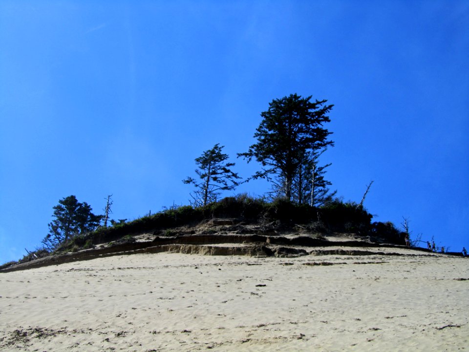 Pacific City at Pacific Coast In OR