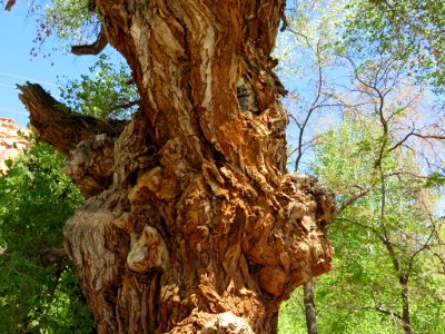 Capitol Reef NP in UT