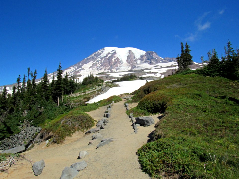 Paradise Skyline Trail at Mt. Rainier NP in WA