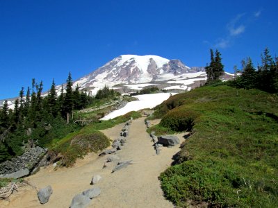 Paradise Skyline Trail at Mt. Rainier NP in WA