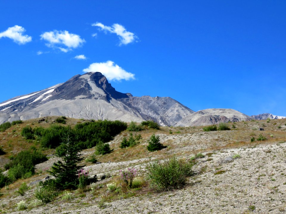 Truman / Loowit Trail at Mt. St. Helens NM in WA