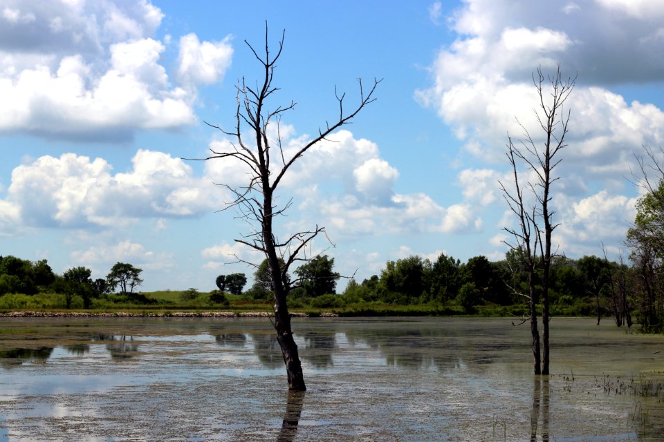 Horicon National Wildlife Refuge
