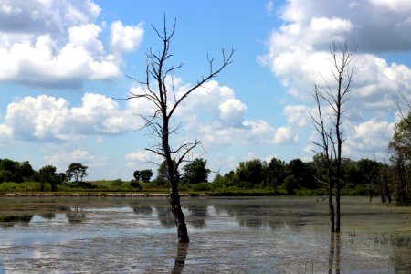 Horicon National Wildlife Refuge