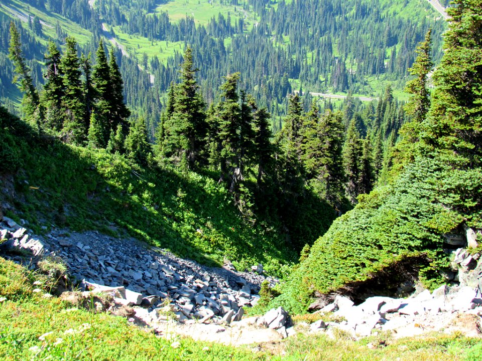 Paradise Skyline Trail at Mt. Rainier NP in WA