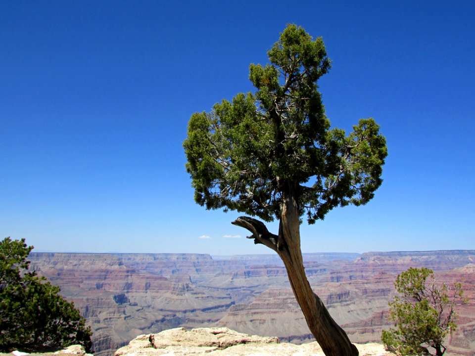 Grand Canyon NP in AZ