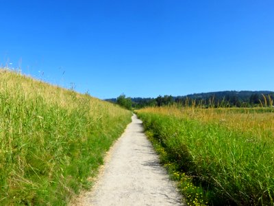 Steigerwald Lake NWR in WA