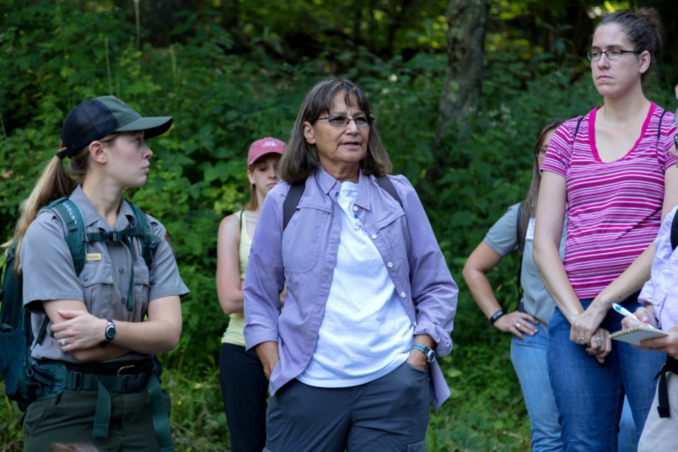 Water Quality in Shenandoah