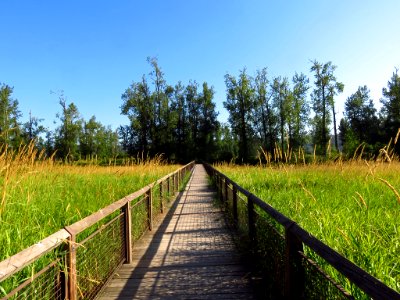Steigerwald Lake NWR in WA
