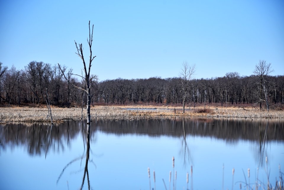 Pool reflections at Sherburne National Wildlife Refuge