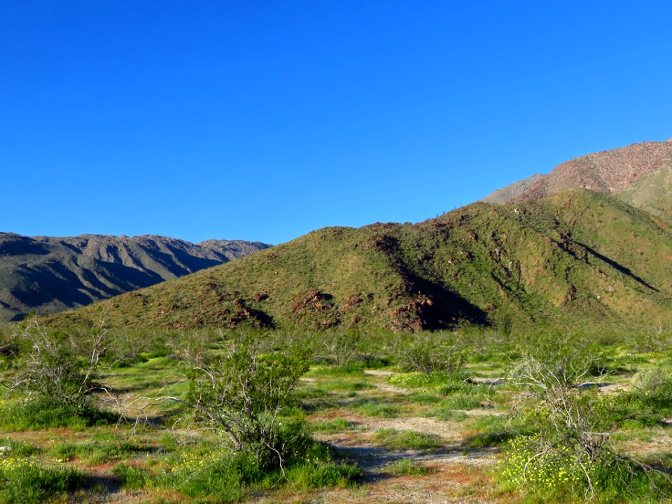 Anza-Borrego Desert SP in California