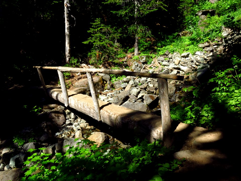 Spray Park Trail at Mt. Rainier NP in WA