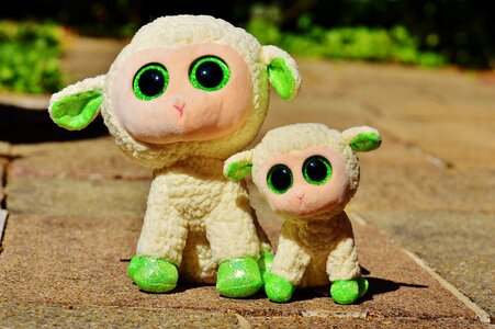 Nature lamb cute