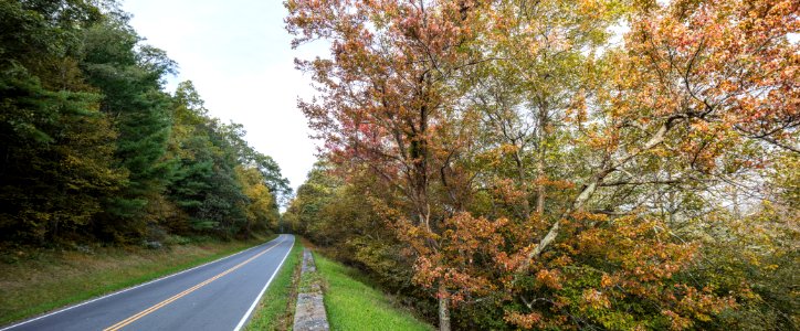 Fall Starting On Skyline Drive