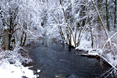 Silver Falls State Park, Oregon