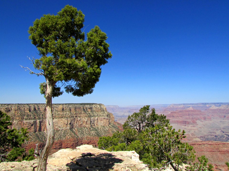 Grand Canyon NP in AZ